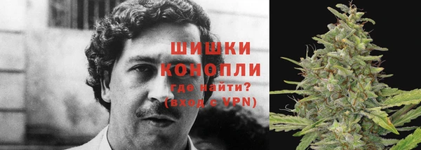 МДПВ Богданович