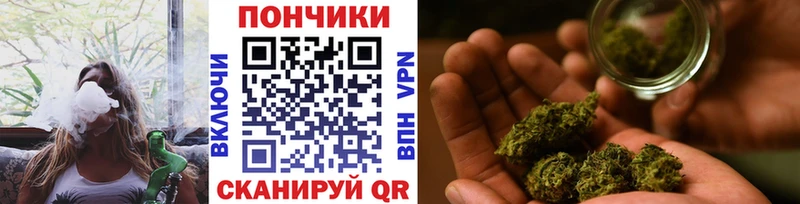 Бошки Шишки THC 21%  Южа 